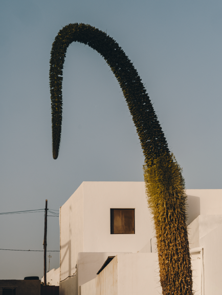 Arrieta, Lanzarote, Spain