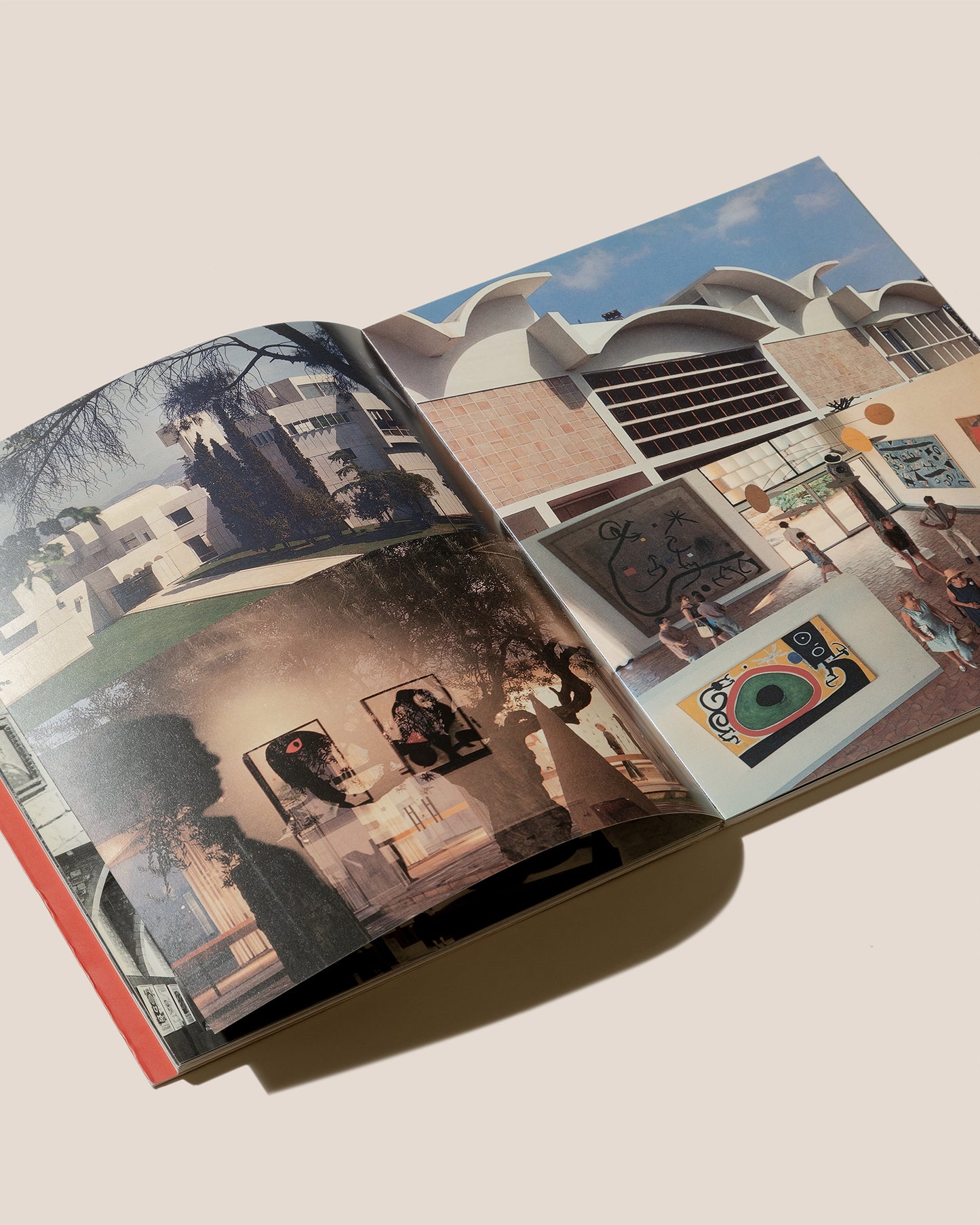 MIRAR MIRÓ. EL JOAN MIRÓ DE CATALÀ ROCA - Fundació Caixa de Catalunya Book