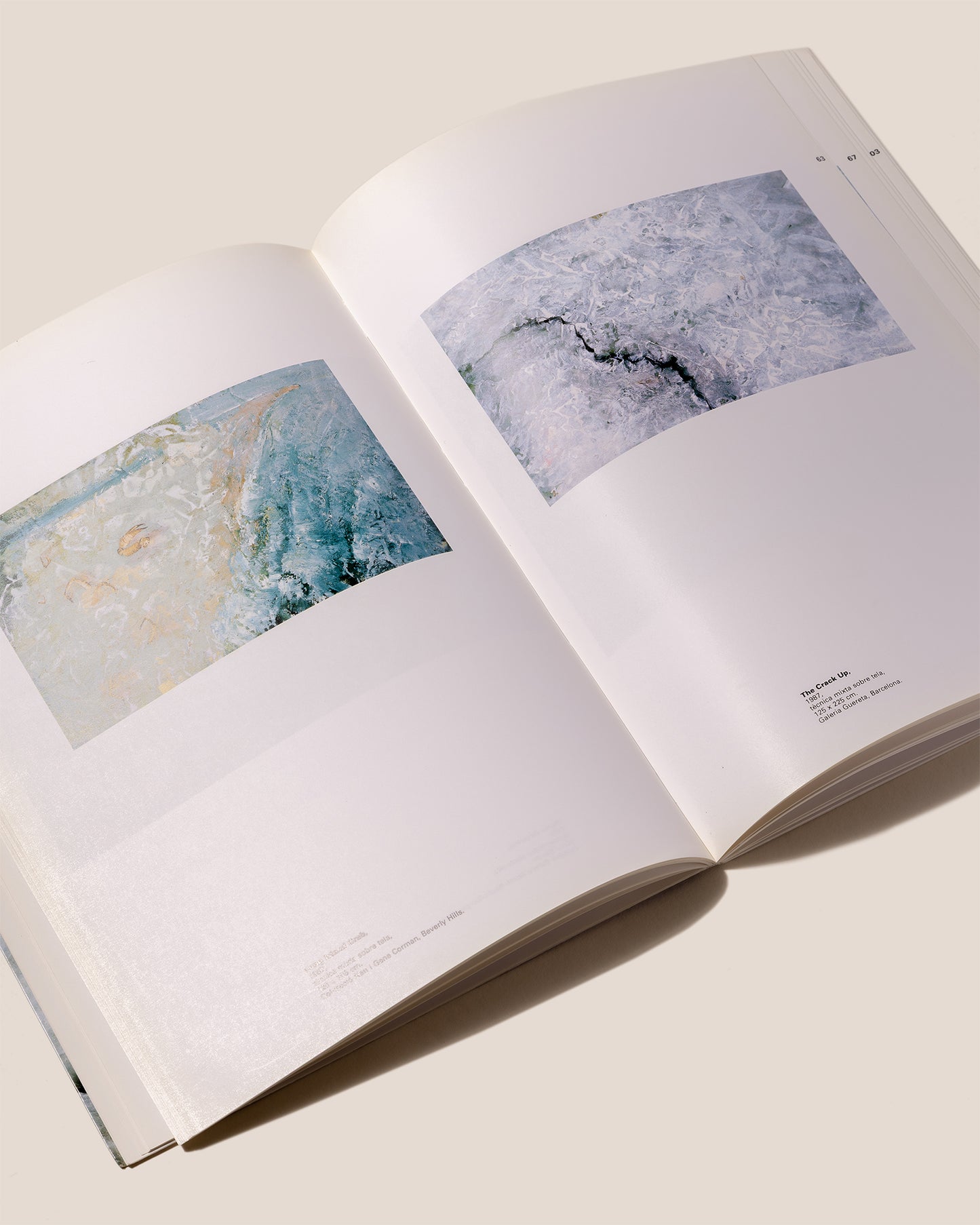 BARCELÓ, BARCELONA - Miquel Barceló Book