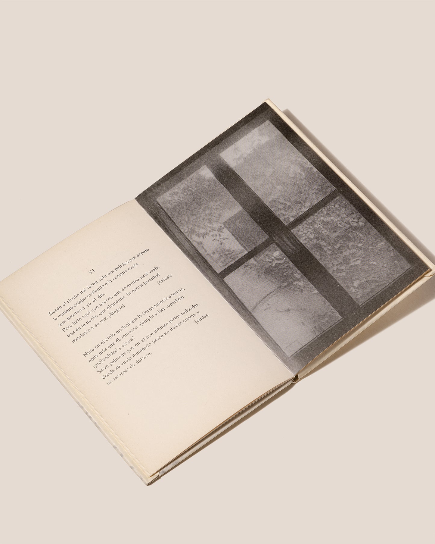 Les Fenêtres - Rainer Maria Rilke Book