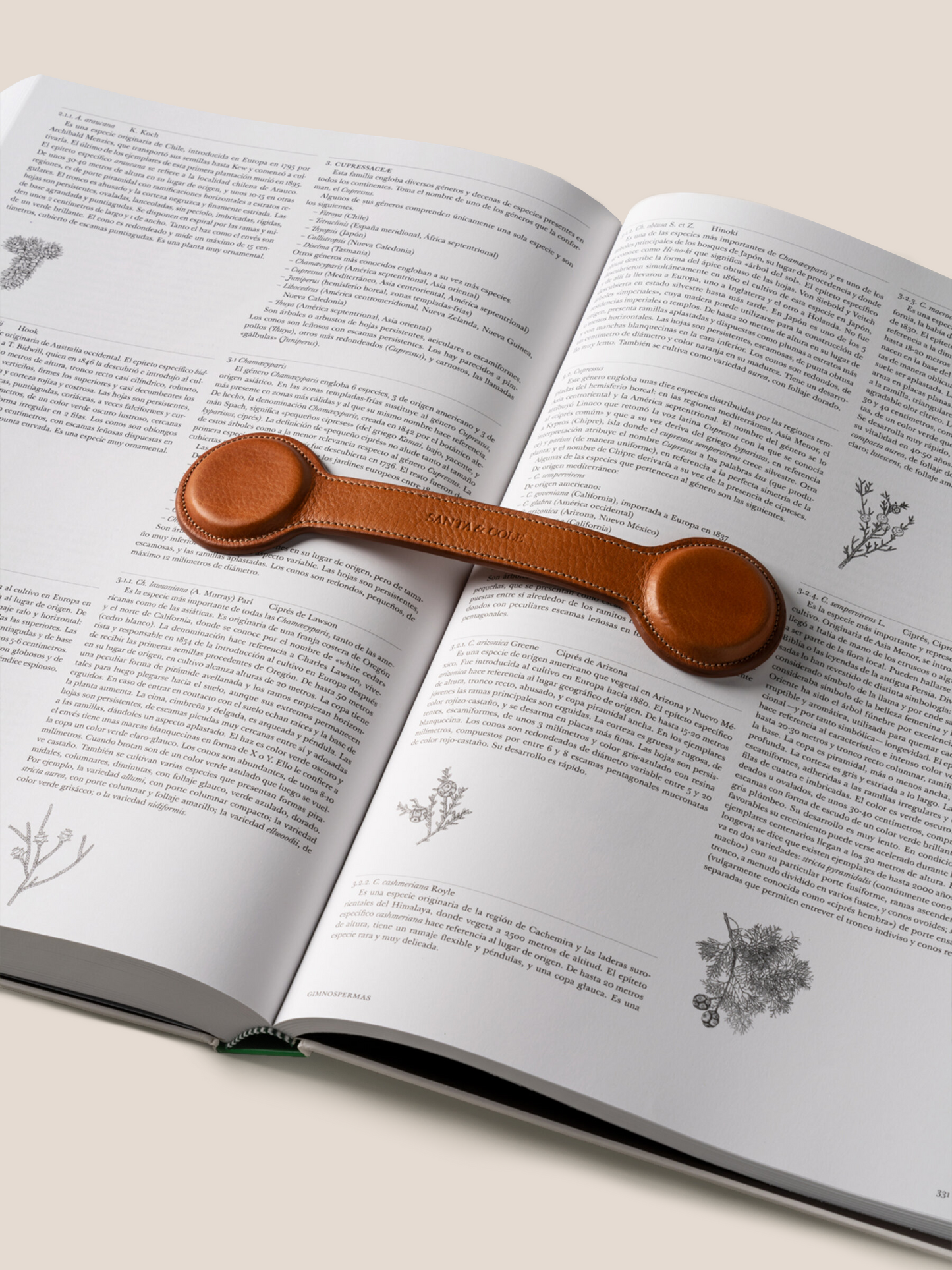 ESCRIBANO - Leather Page Holder by Santa & Cole