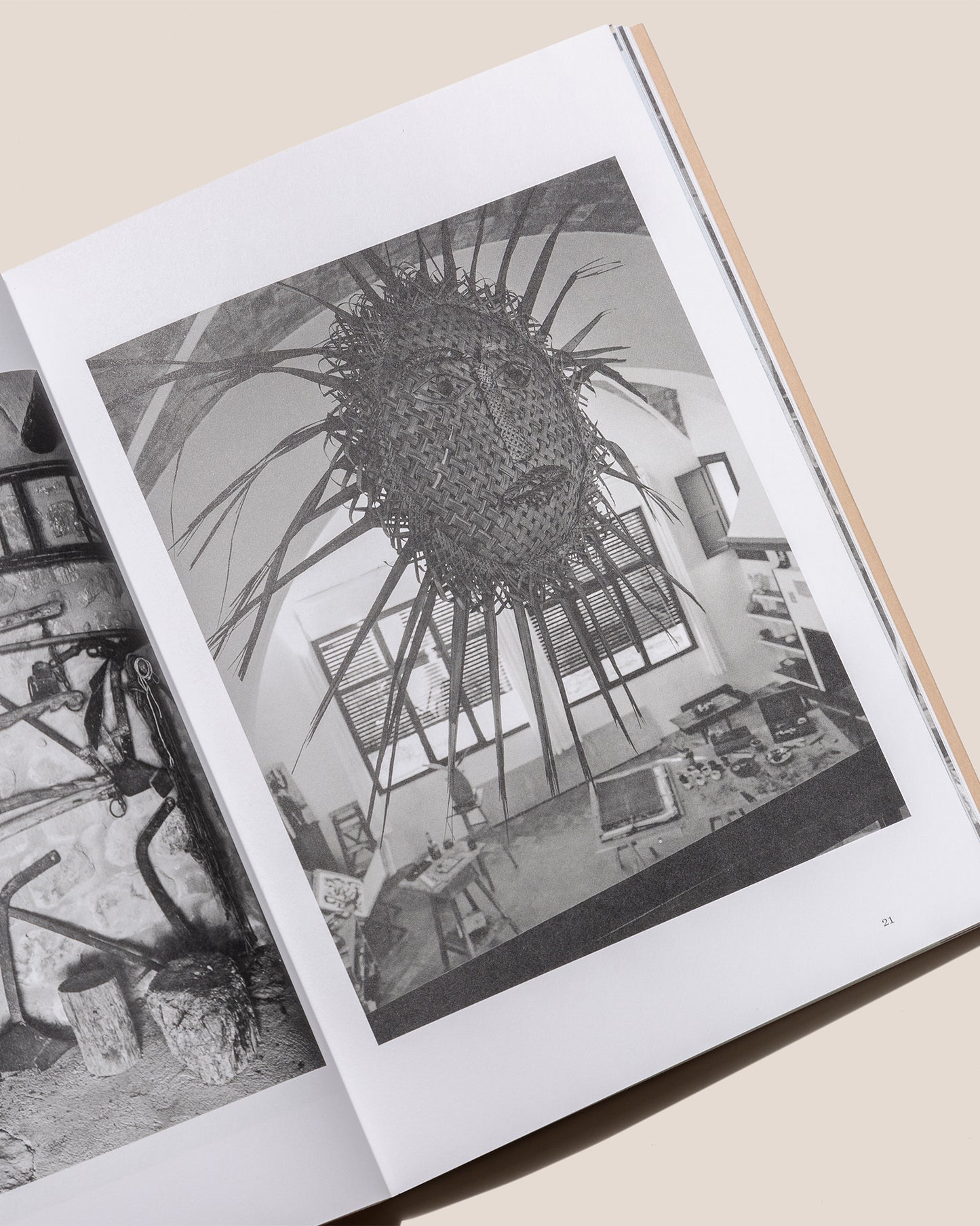 HORTA PICASSO - Jean Marie del Moral Book