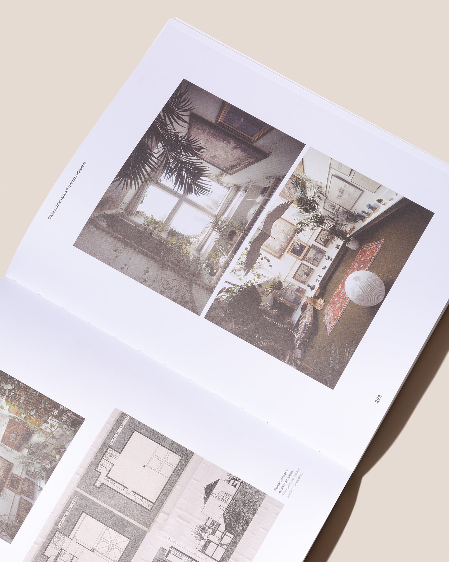 FERNANDO HIGUERAS - Book