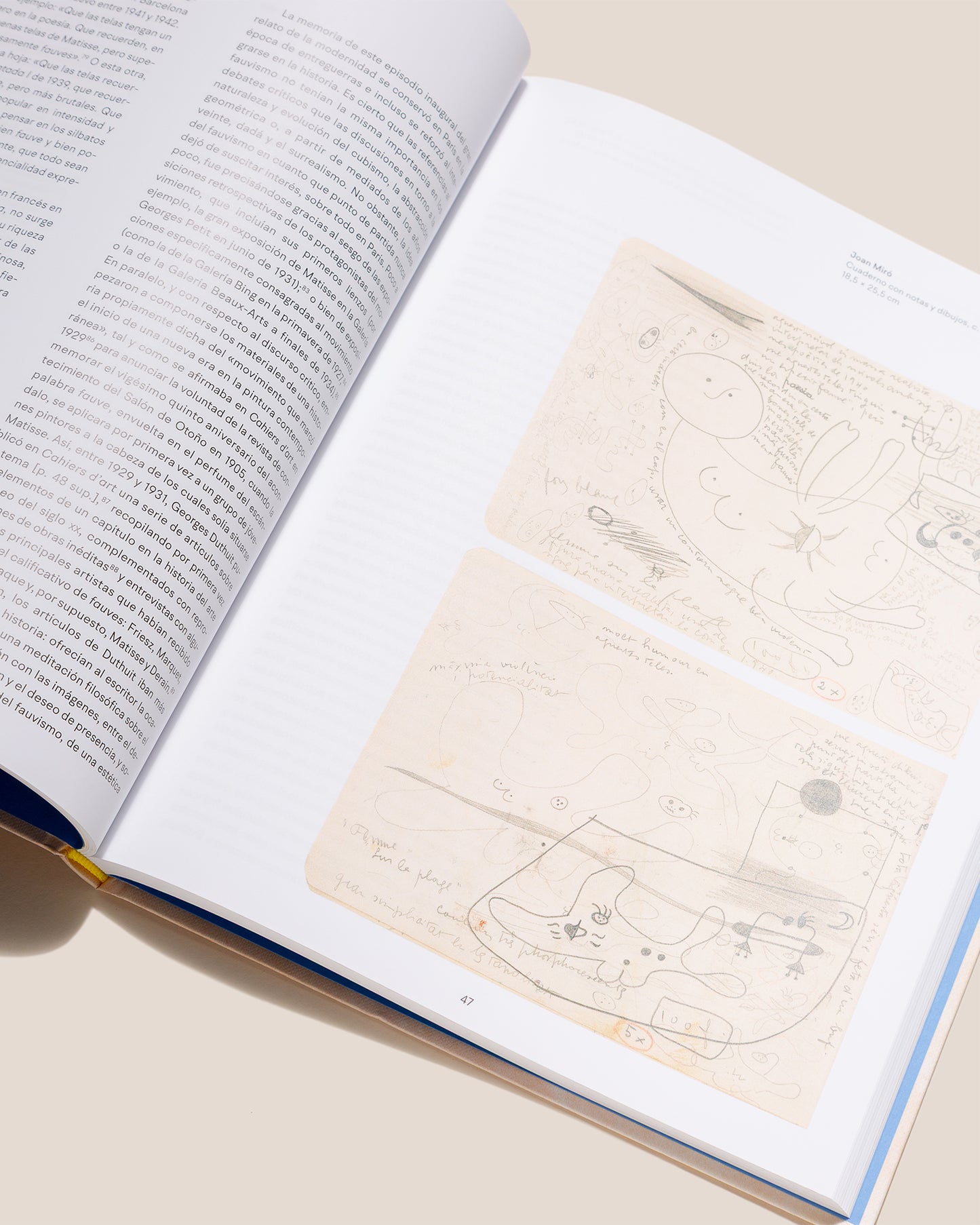 MIRÓ MATISSE, MÁS ALLÁ DE LAS IMÁGENES - Rémi Labrusse Book