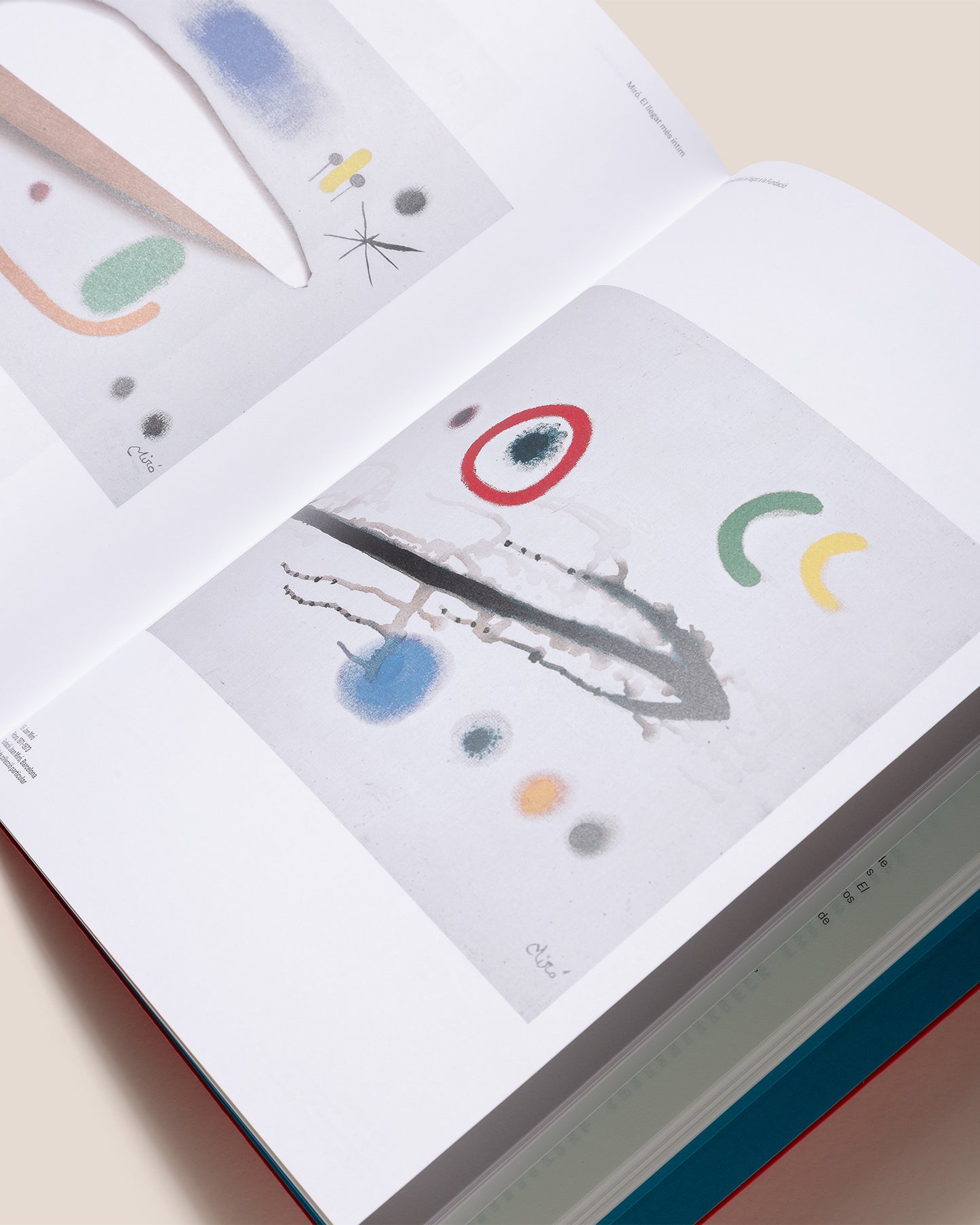 MIRÓ. EL LLEGAT MÉS INTIM - Marko Daniel, Elena Escolar, Dolors Rodríguez y Joan Punyet Book