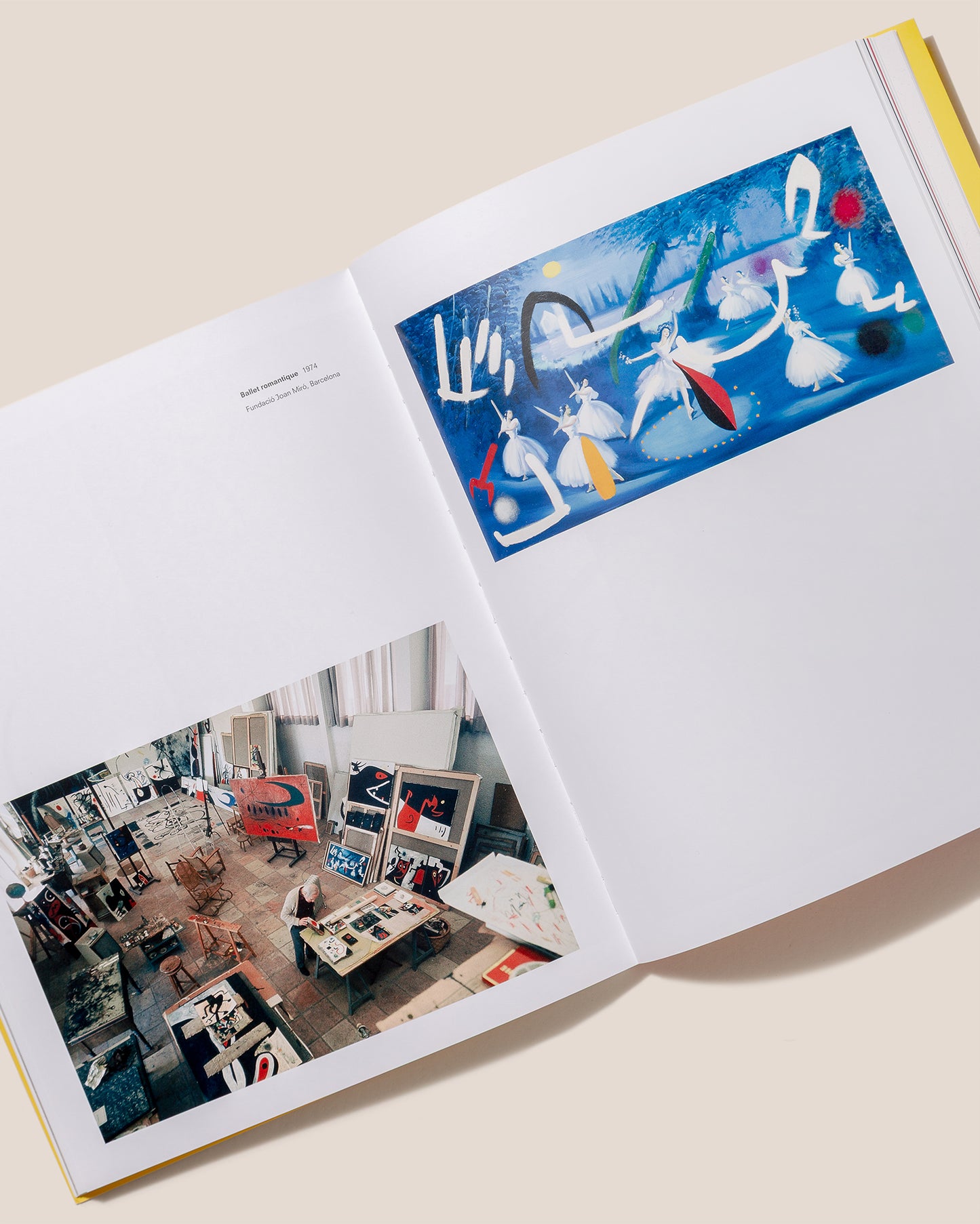 MIRÓ ROUND TRIP - Book