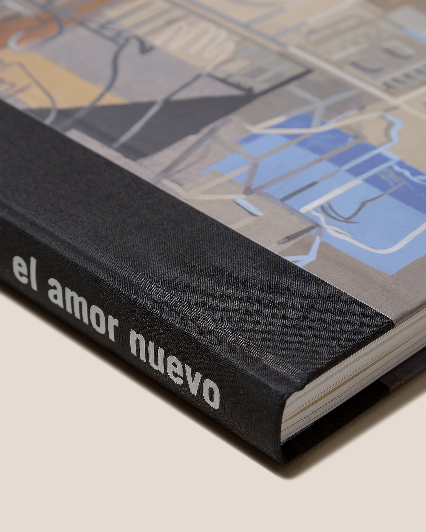 EL AMOR NUEVO - Book by Jorge Gay & Ignacio Martínez de Pisón