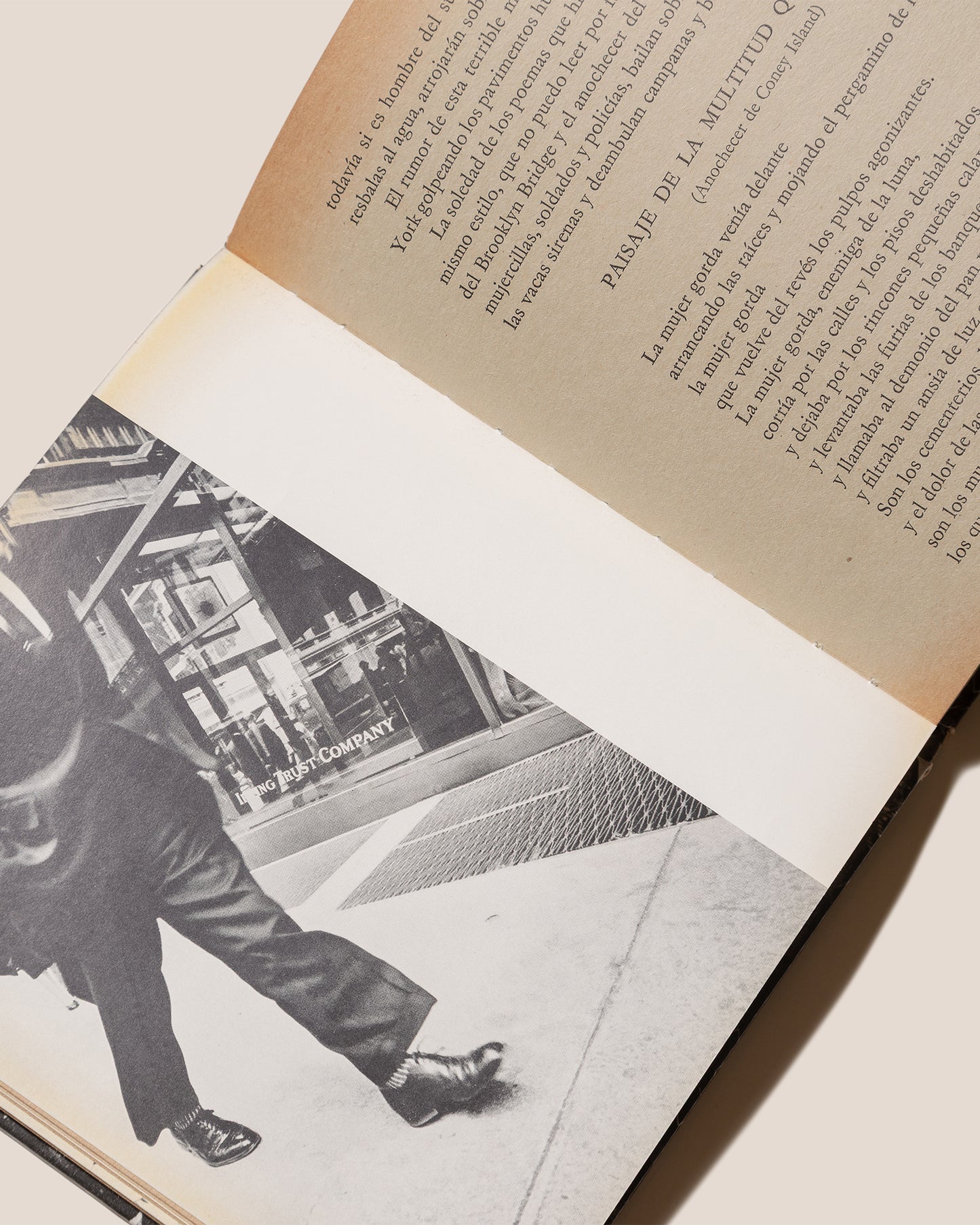 POETA EN NUEVA YORK - Federico Garcia Lorca Book