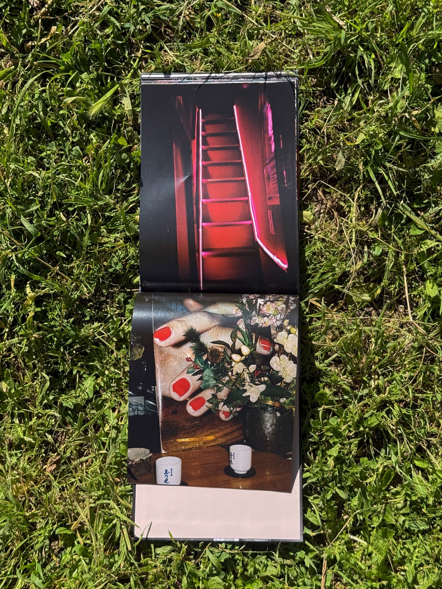 CHERRY BLOSSOM, DON'T CRY - Alba Yruela Book