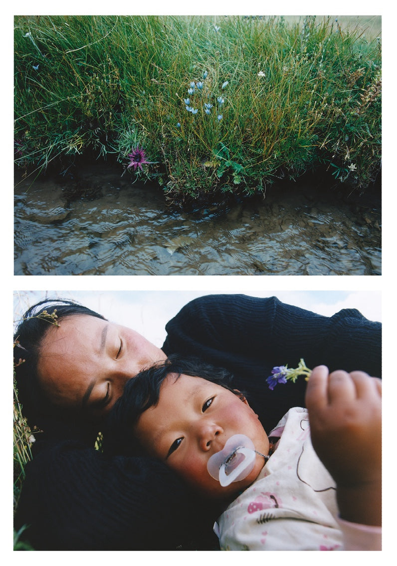 THE PLANT MAGAZINE - Issue 23