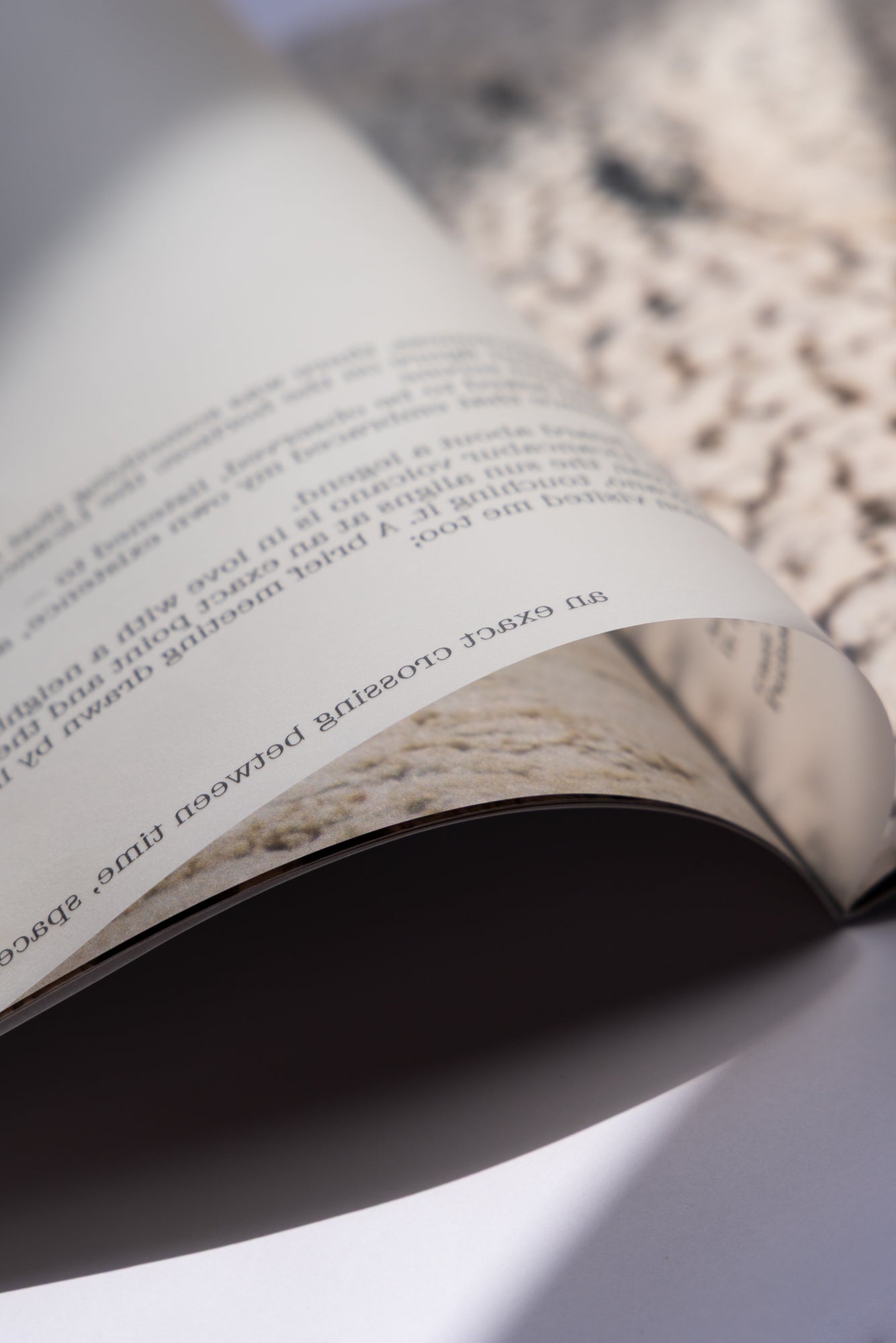 LICANCABUR - Sara Guerrero Book