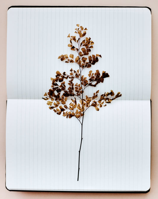 Barcelona, Catalunya, Spain