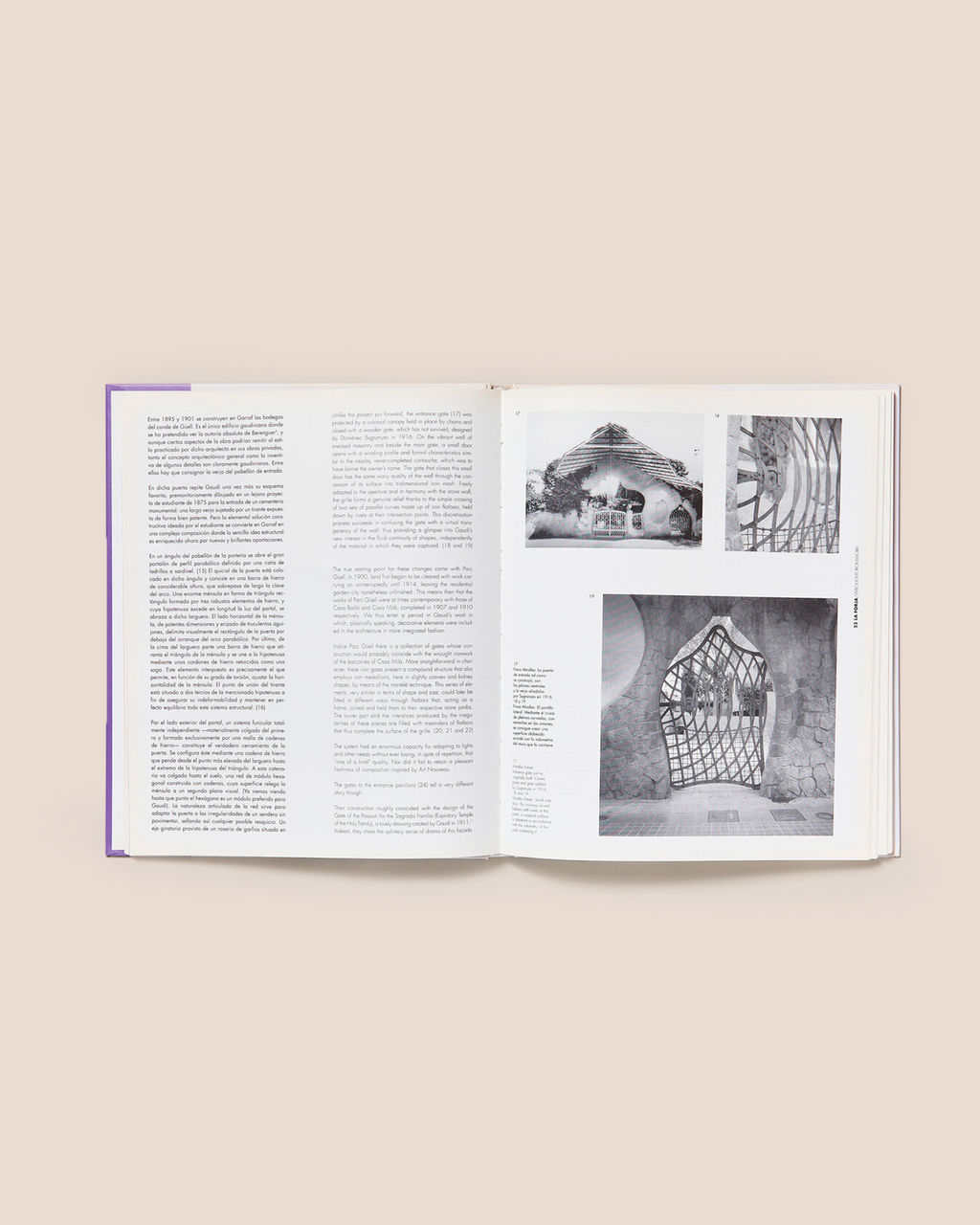 ANTONI GAUDÍ - David Ferrer Book