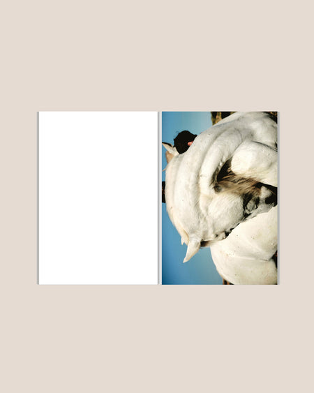 10 5 4 - Enrique Escandell Book