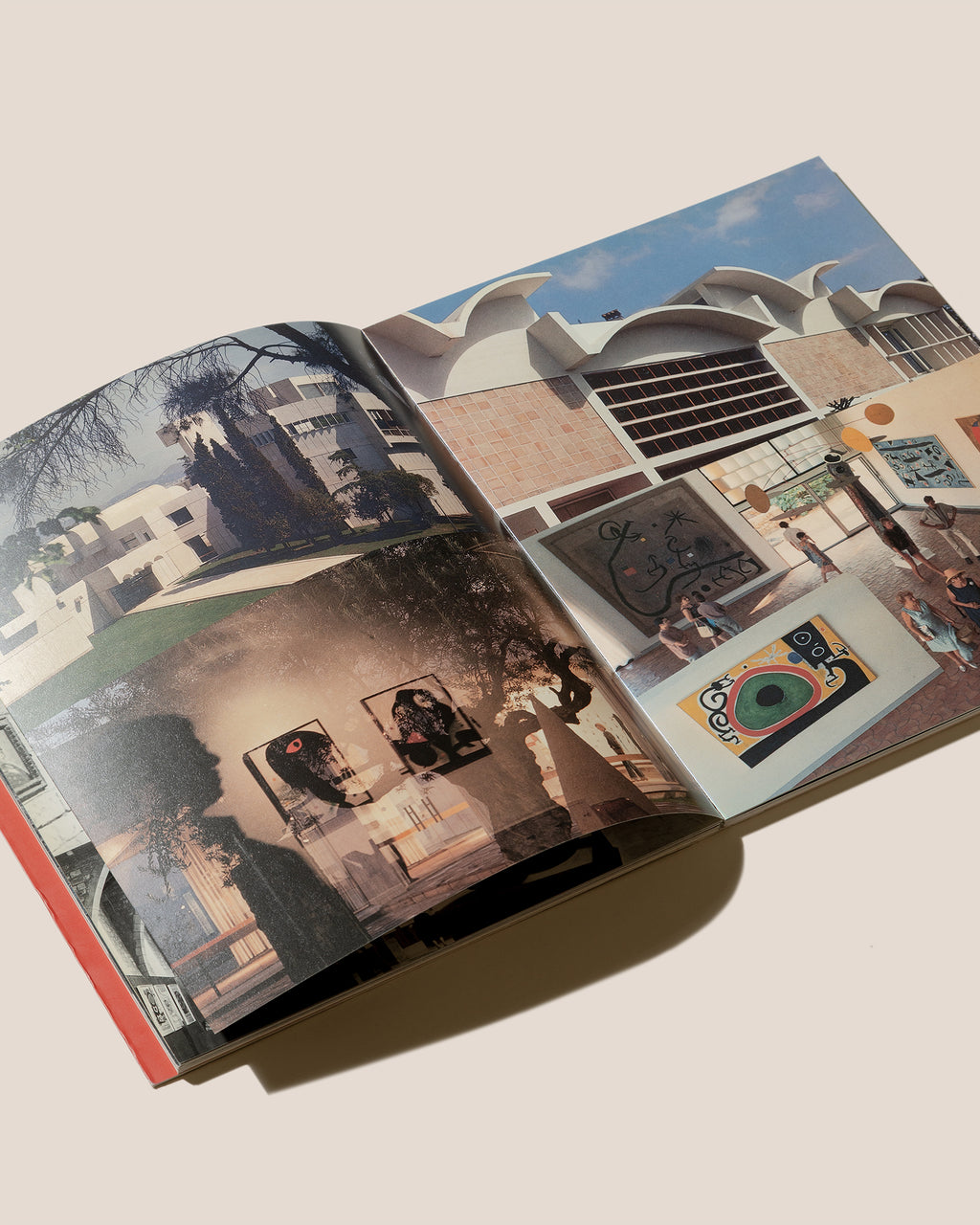 MIRAR MIRÓ. EL JOAN MIRÓ DE CATALÀ ROCA - Fundació Caixa de Catalunya Book