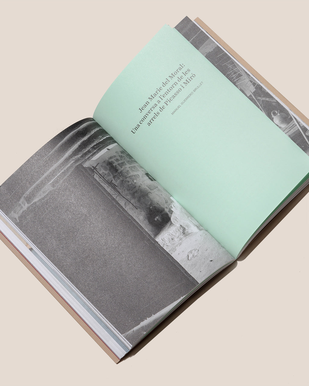 HORTA PICASSO - Jean Marie del Moral Book