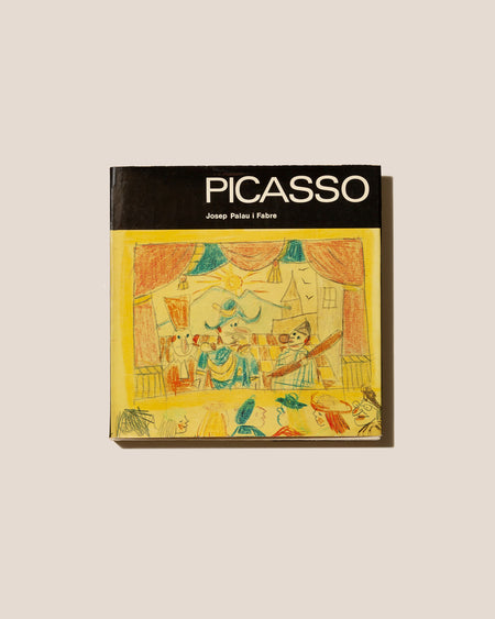 Picasso - Josep Palau i Fabre Book