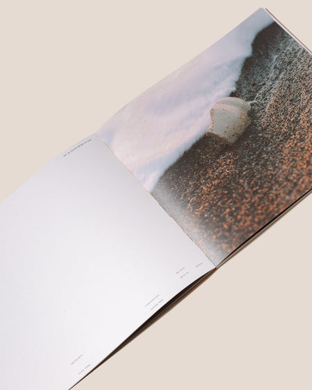 HAY UN VOLCÁN ENCIMA DE CASA - Alba Galocha and Pablo Curto Book