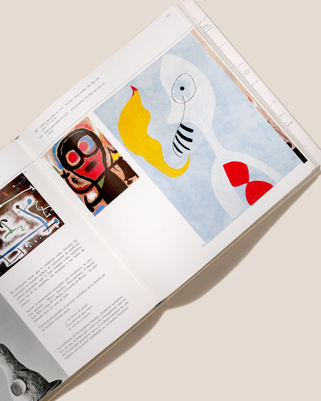 MIRÓ MIRALL - Alexandre Cirici Book