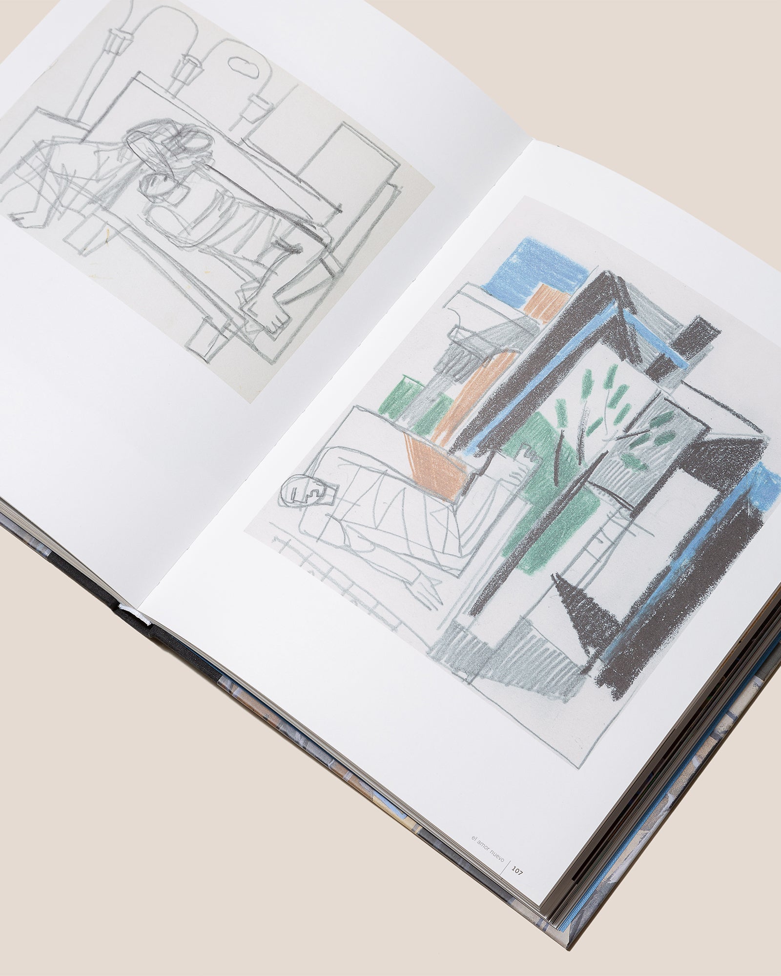 EL AMOR NUEVO - Book by Jorge Gay & Ignacio Martínez de Pisón