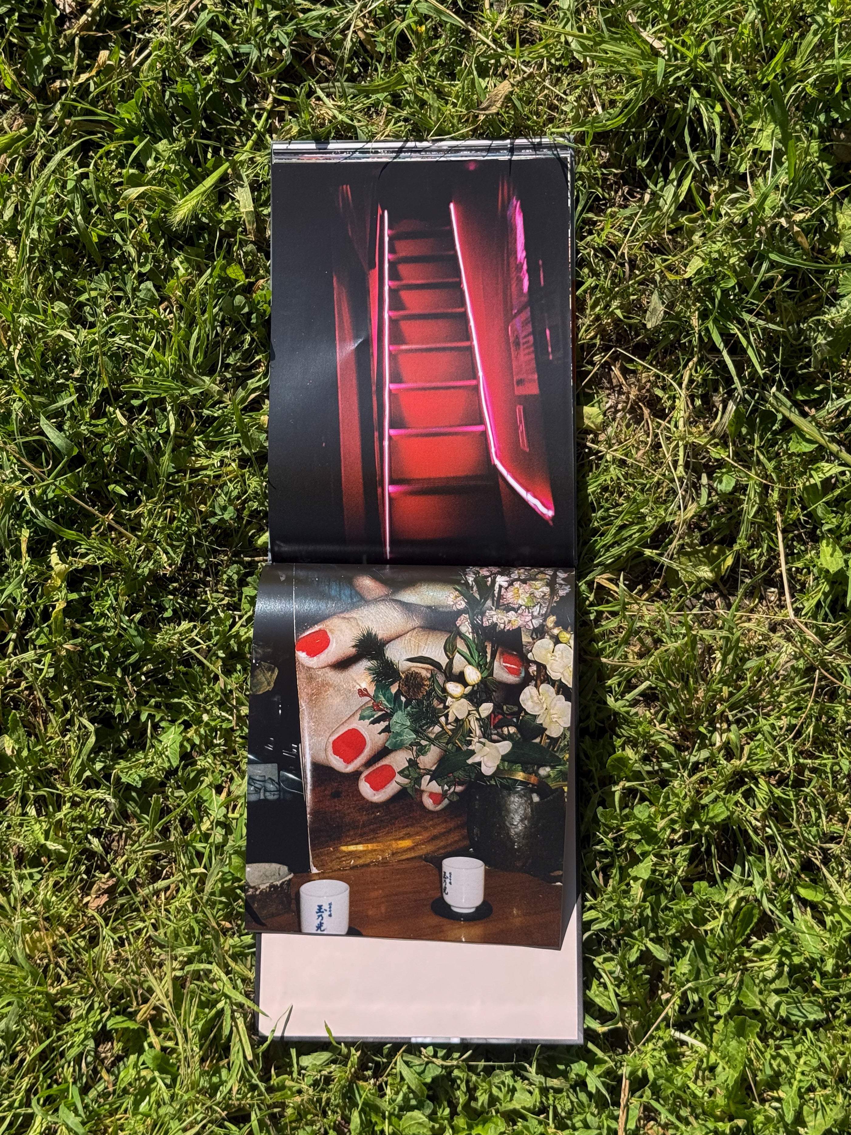 CHERRY BLOSSOM, DON'T CRY - Alba Yruela Book