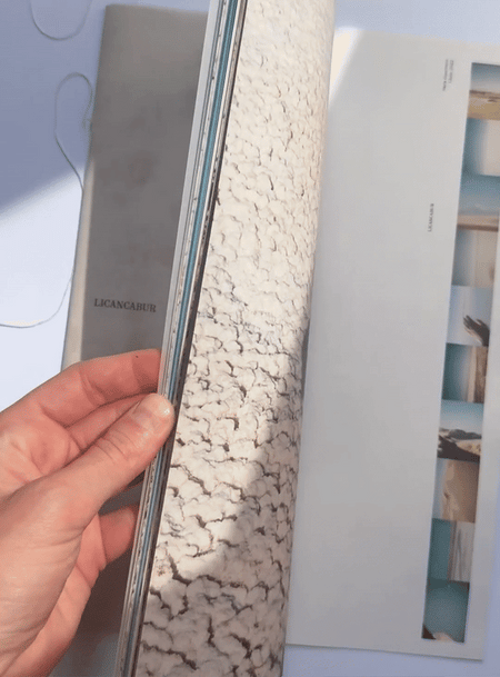 LICANCABUR - Sara Guerrero Book