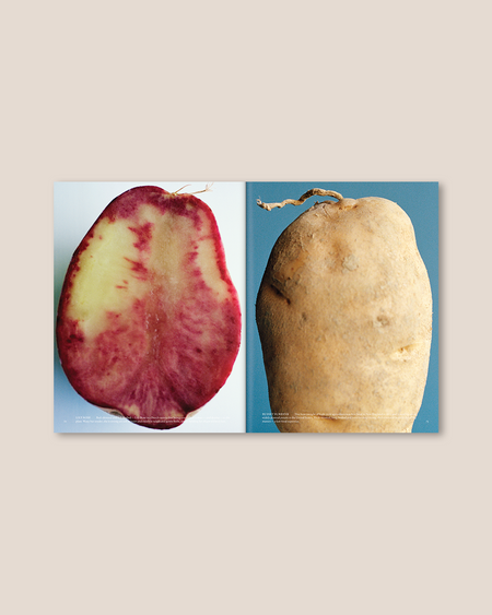 THE PLANT MAGAZINE - Issue 24