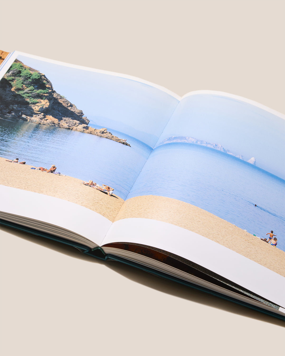 EL BAIX EMPORDÀ - Jordi Puig and Vicenç Pagès Jordà Book