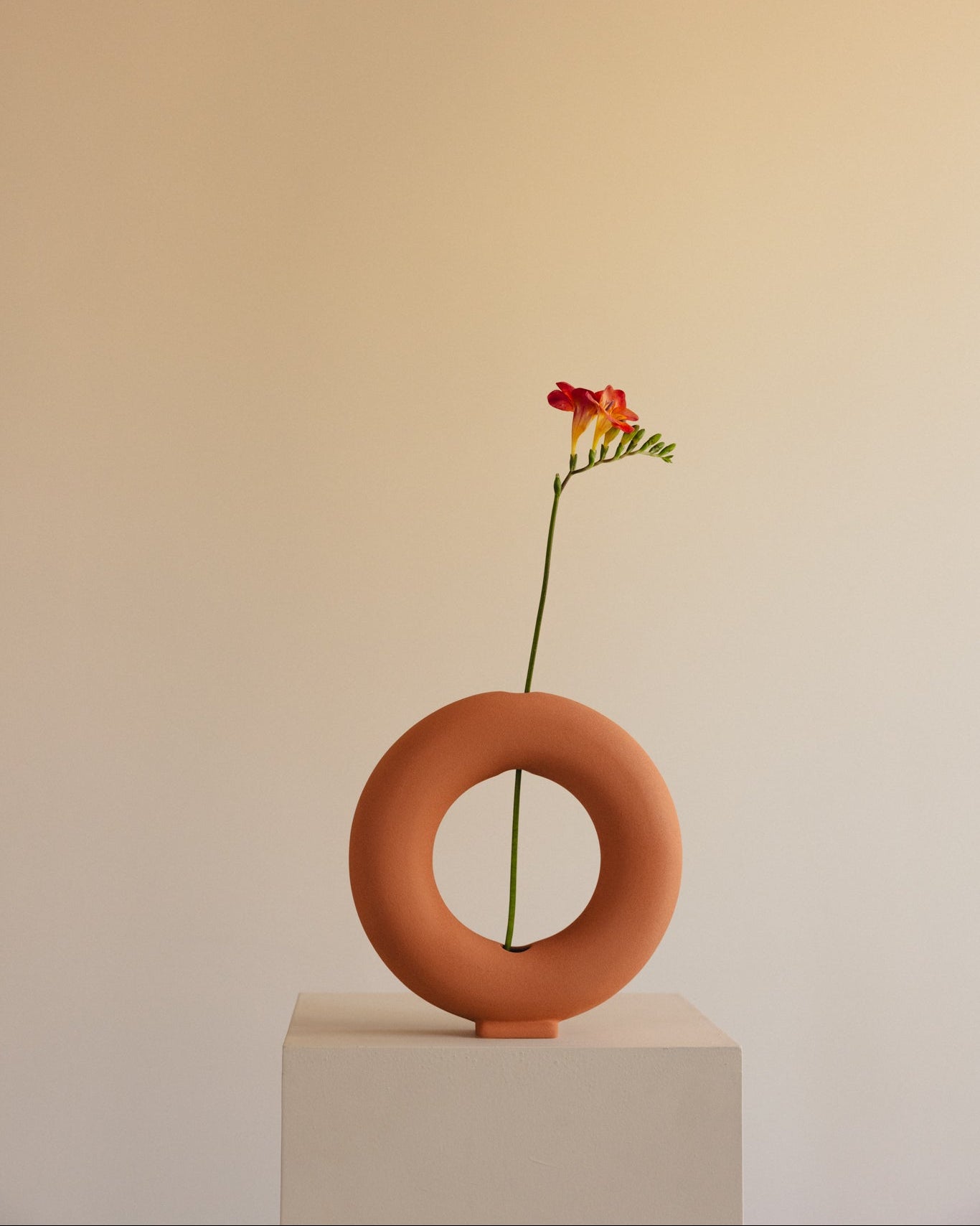 VACUUM - Decorative Vase