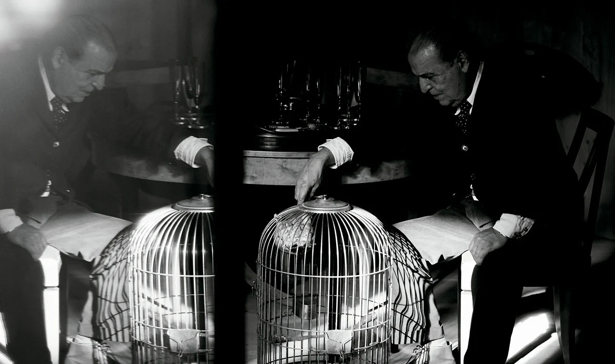 THE HOUSE OF XAVIER CORBERÓ - Daniel Riera Book