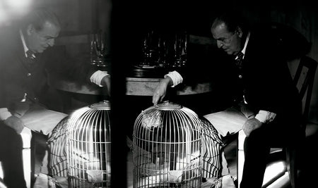 THE HOUSE OF XAVIER CORBERÓ - Daniel Riera Book